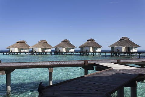 sito web dei bungalow