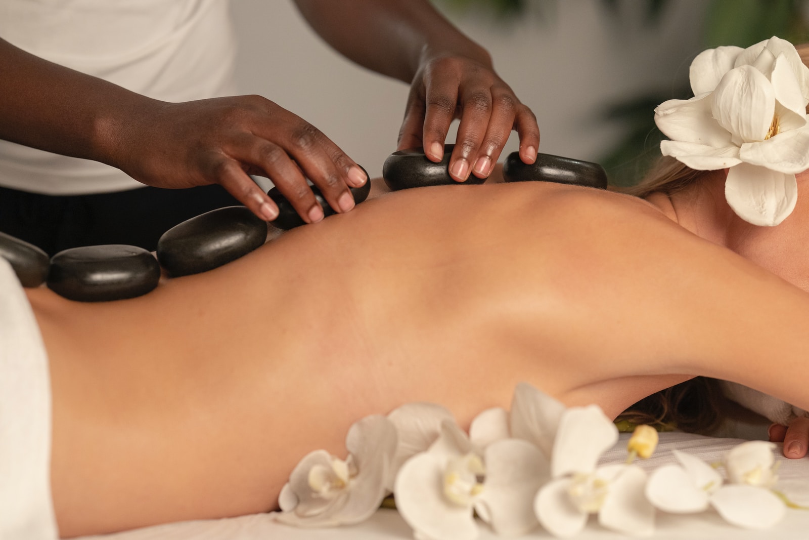 esempio di spa hotel web