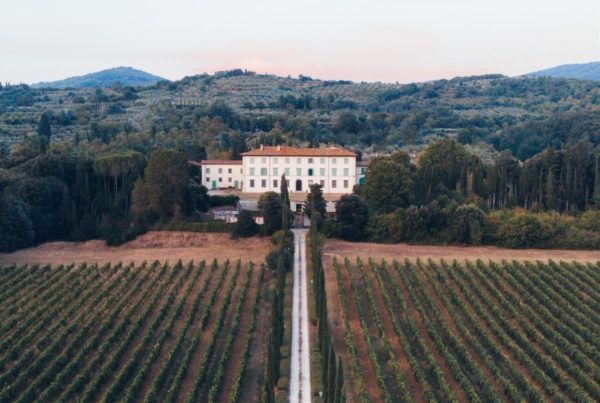 foto aérea de un campo de hierba verde