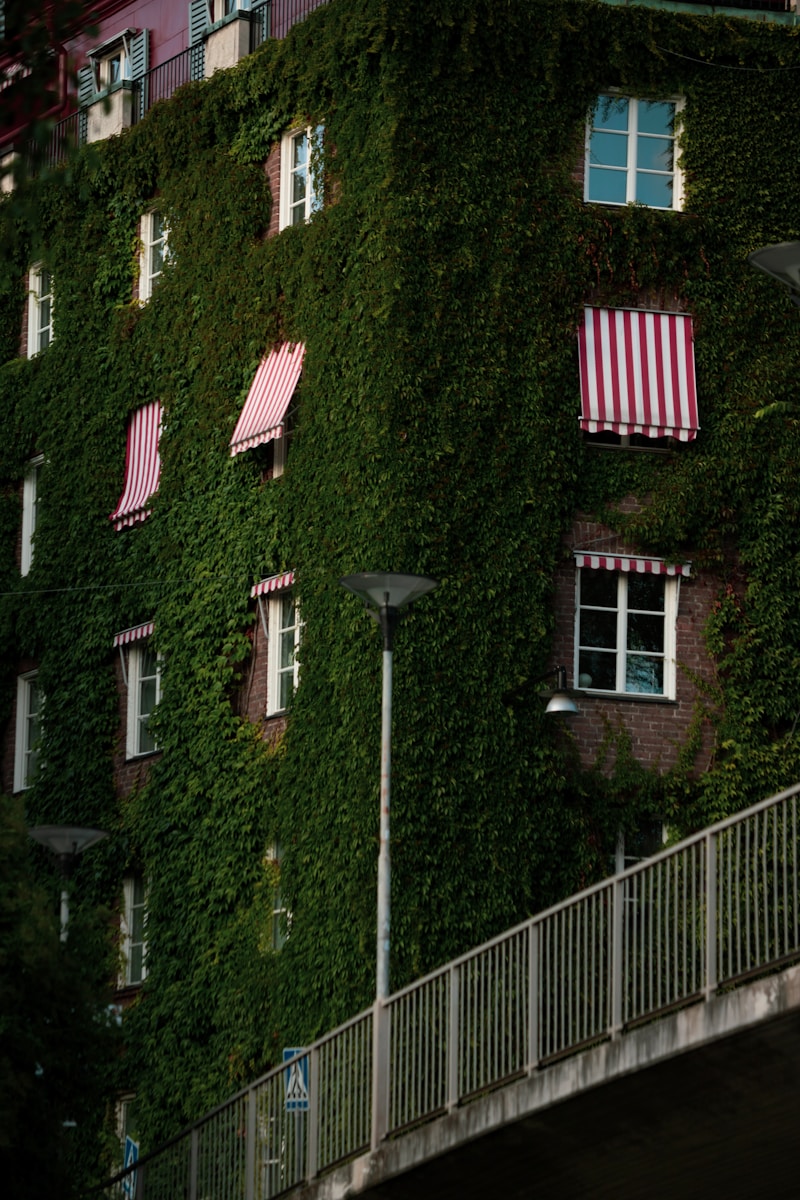 ecologia