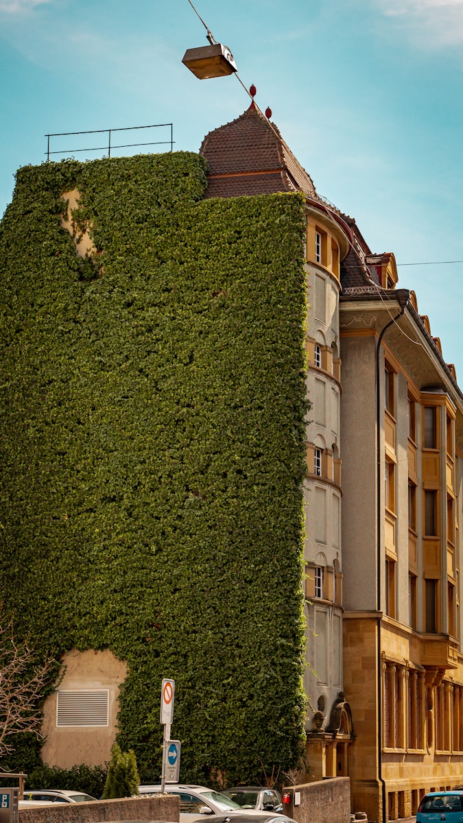 Affitti ed ecologia